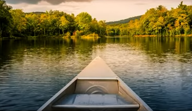 Смерть Дарвина