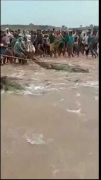 Несчастные родители стояли на берегу и смотрели на крокодила, только что проглотившего их сына.