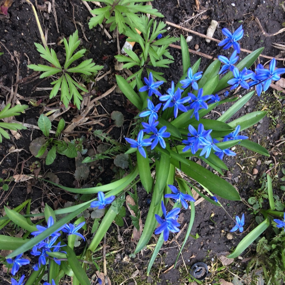 Весенний привет всем, кто, как и я, любит весну...