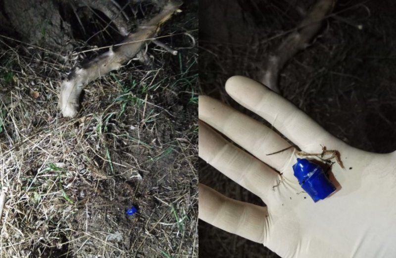 Закладчики. Как же вы надоели, мрази!