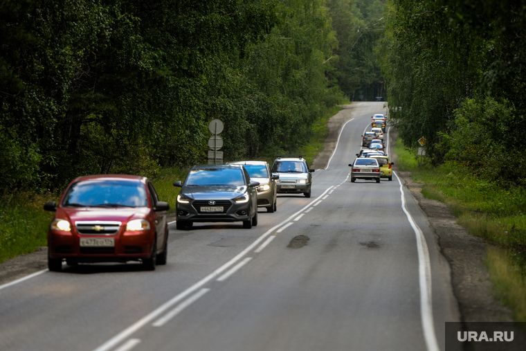 Расстрел медвежонка живодёрами. Видео
