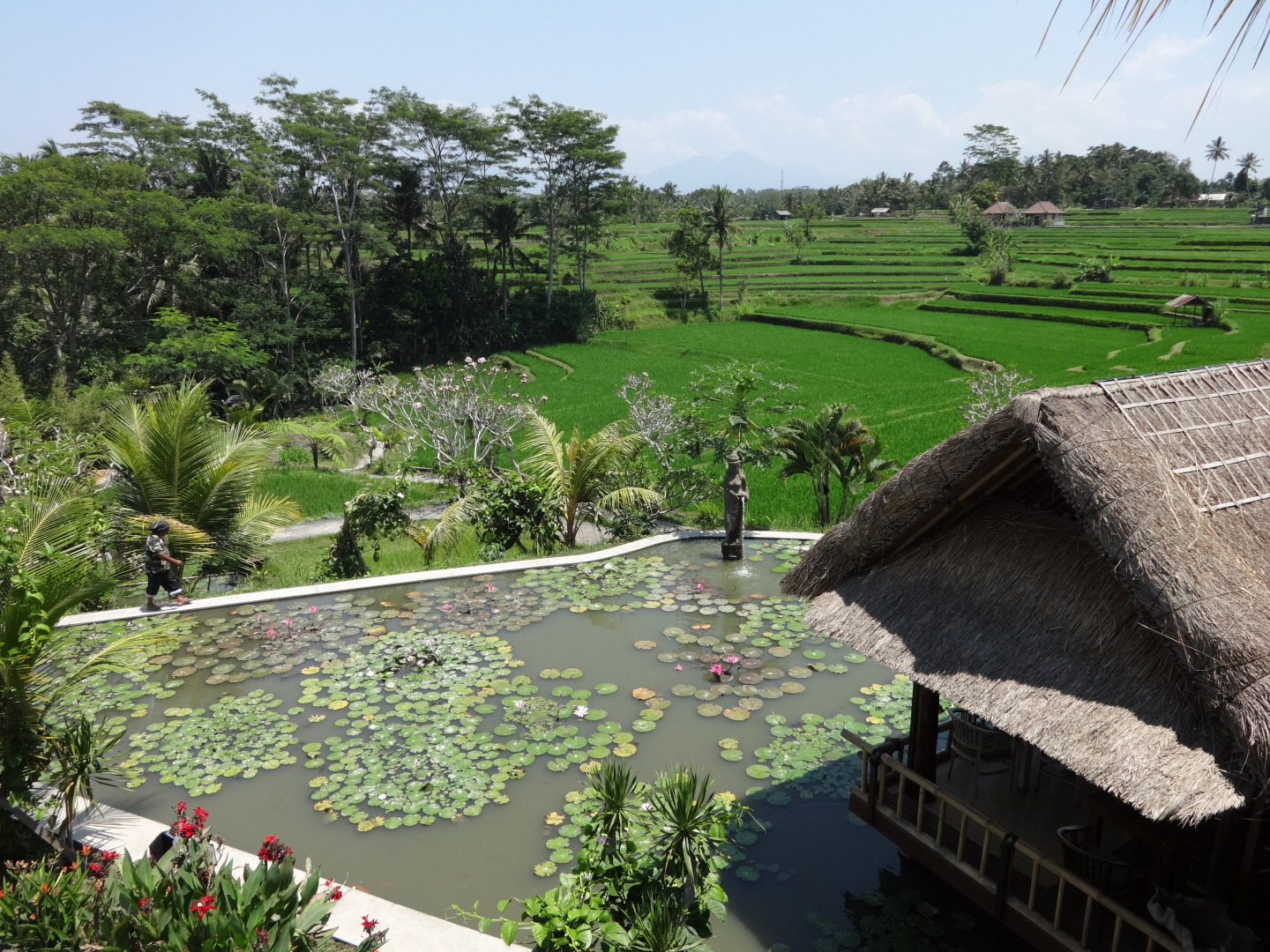 Топ-5 классных мест на Бали: старинные храмы, заброшенный отель с призраками, встречи с дельфинами