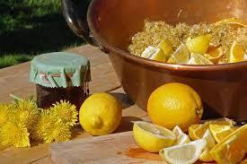 Мед из одуванчиков: здоровое лакомство от природы