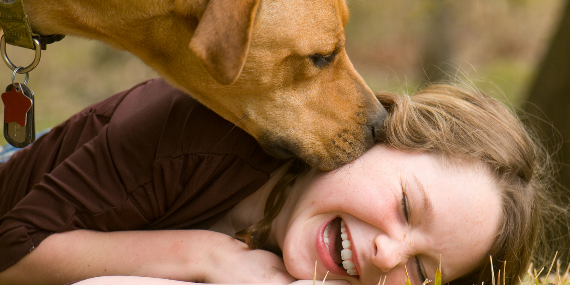 Собаки могут чувствовать запах человеческого страха