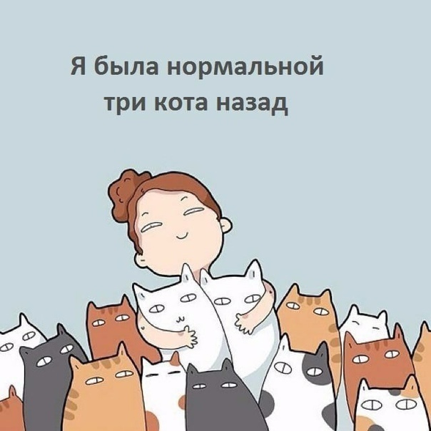 Как Вам сегодняшняя гроза в Санкт-Петербурге 06.08.2022