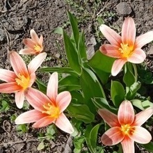 Владимир, г. Волгоград