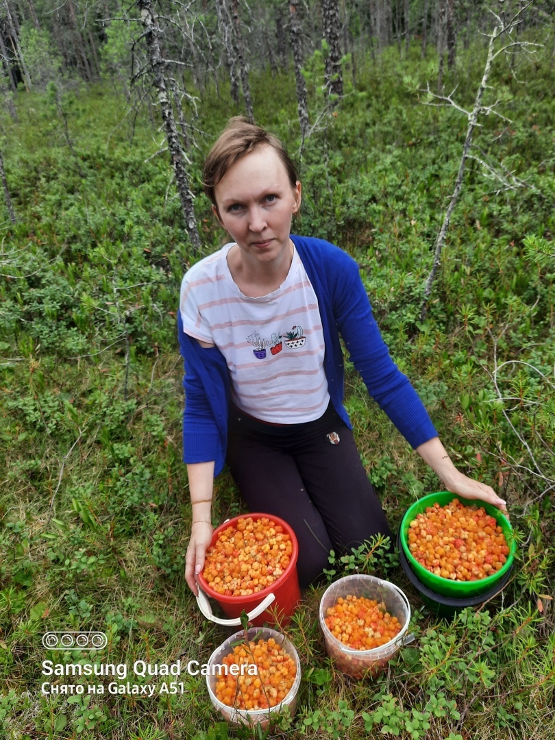 Морошка - ягода на любителя!