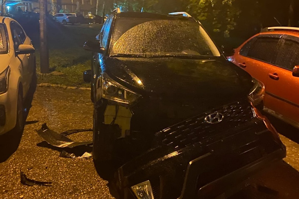 Сколько стоит отлов бездомных собак