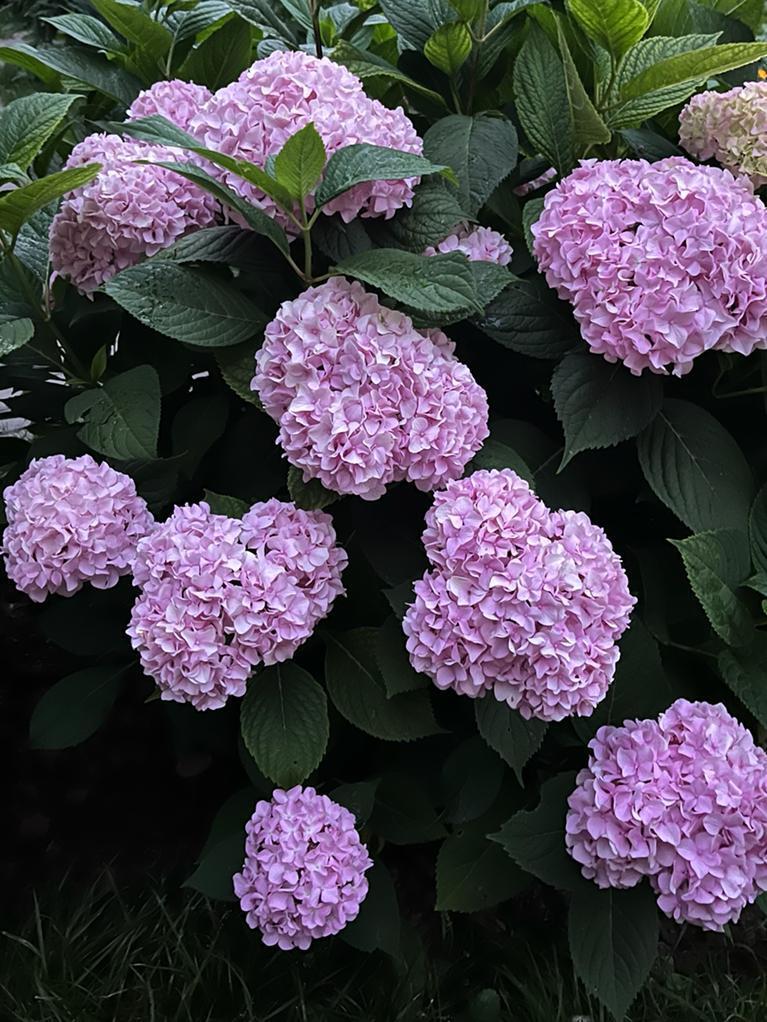 Почему любовь слепа?( притча)