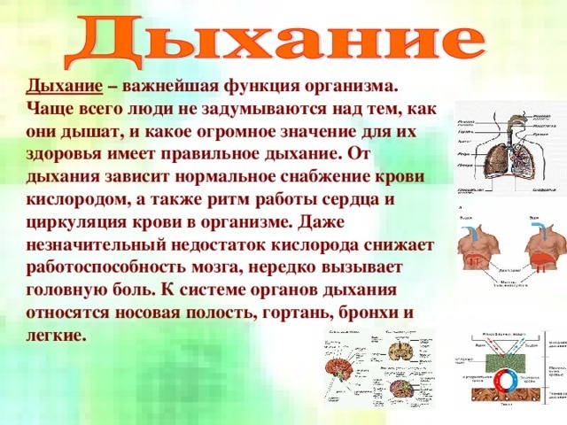 Дыхание как синоним жизни