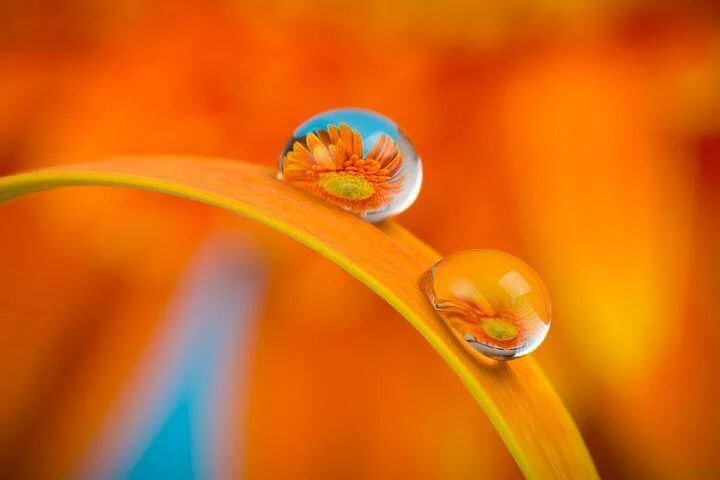 Влияние цвета на человека