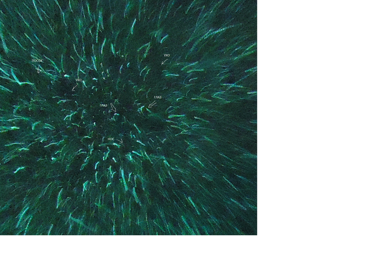 Имеете ли Вы абстрактное мышление?