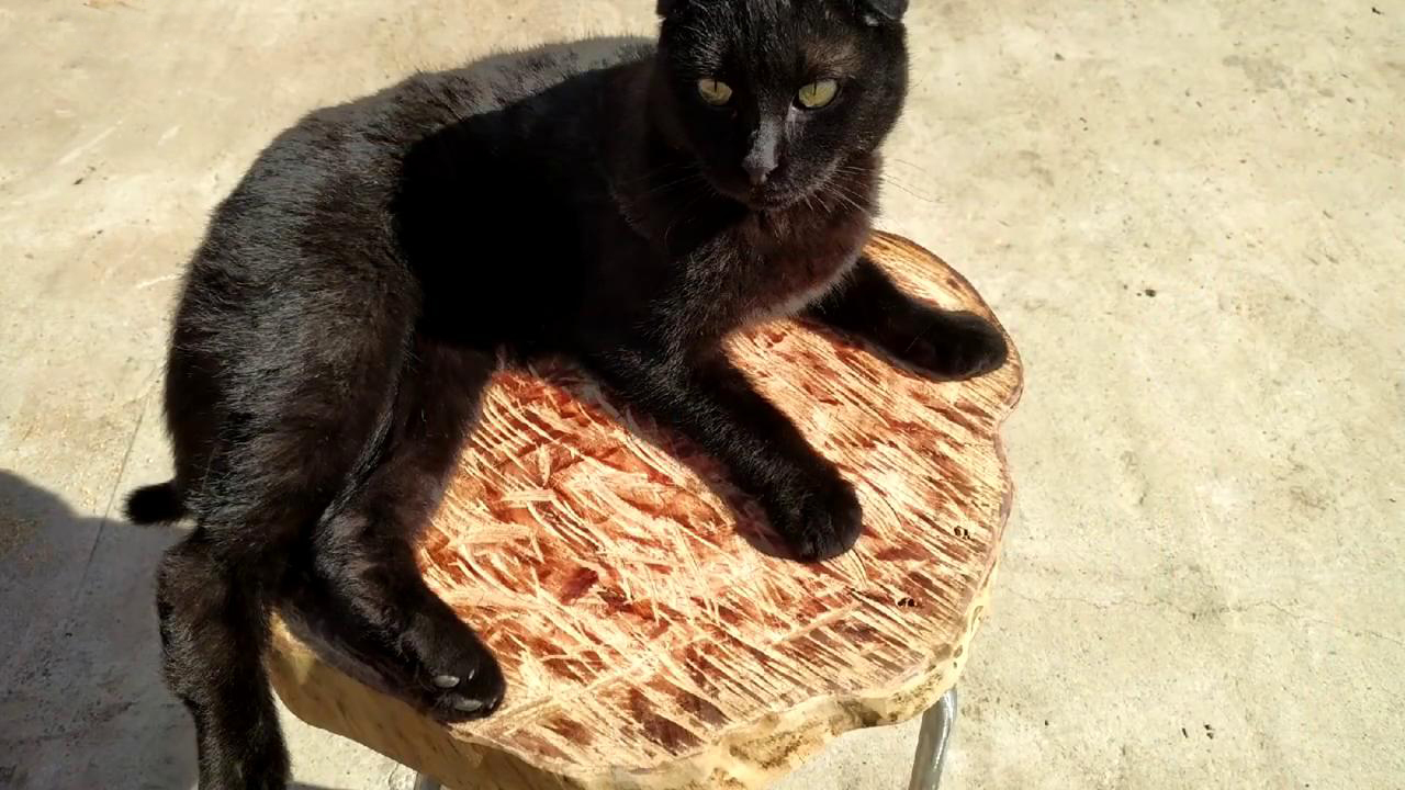 Не выбрасывайте старый стул