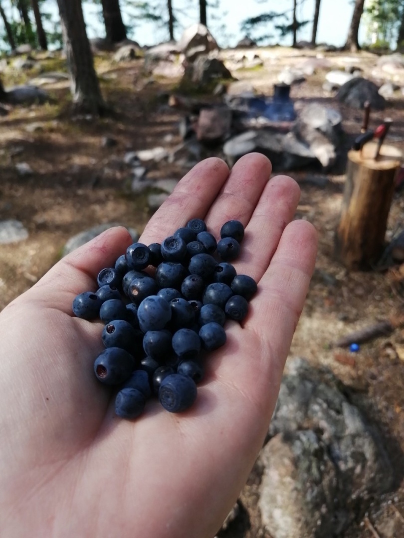 Путешествие в это лето было интересным! Все такое разное!
