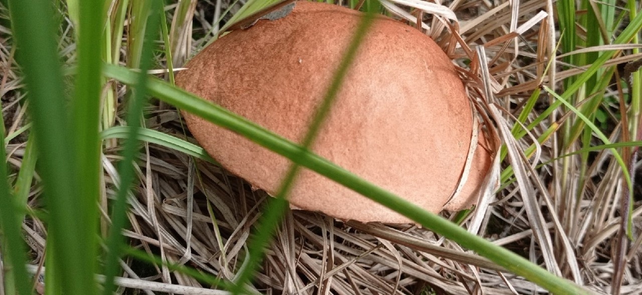 Путешествие в это лето было интересным! Все такое разное!