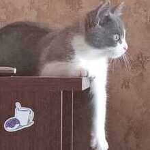 Александр, г. Москва