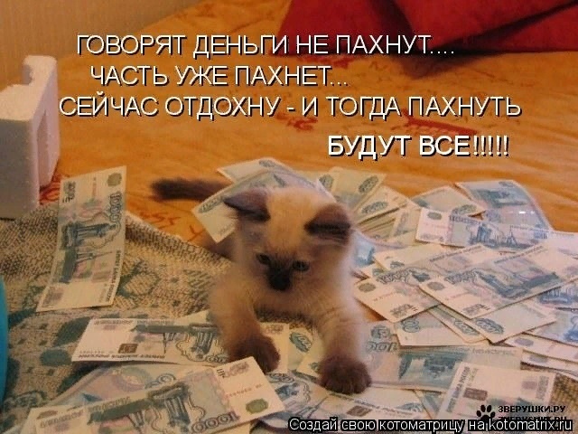 Деньги юмор фото Денежные коты Татьяна, 14 августа 2022
