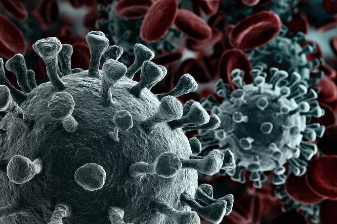 Будь то корона, атипичная пневмония или СПИД - вирусные заболевания пугают многих людей.