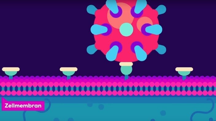 Микроорганизмы : Вирусы всегда на шаг впереди.