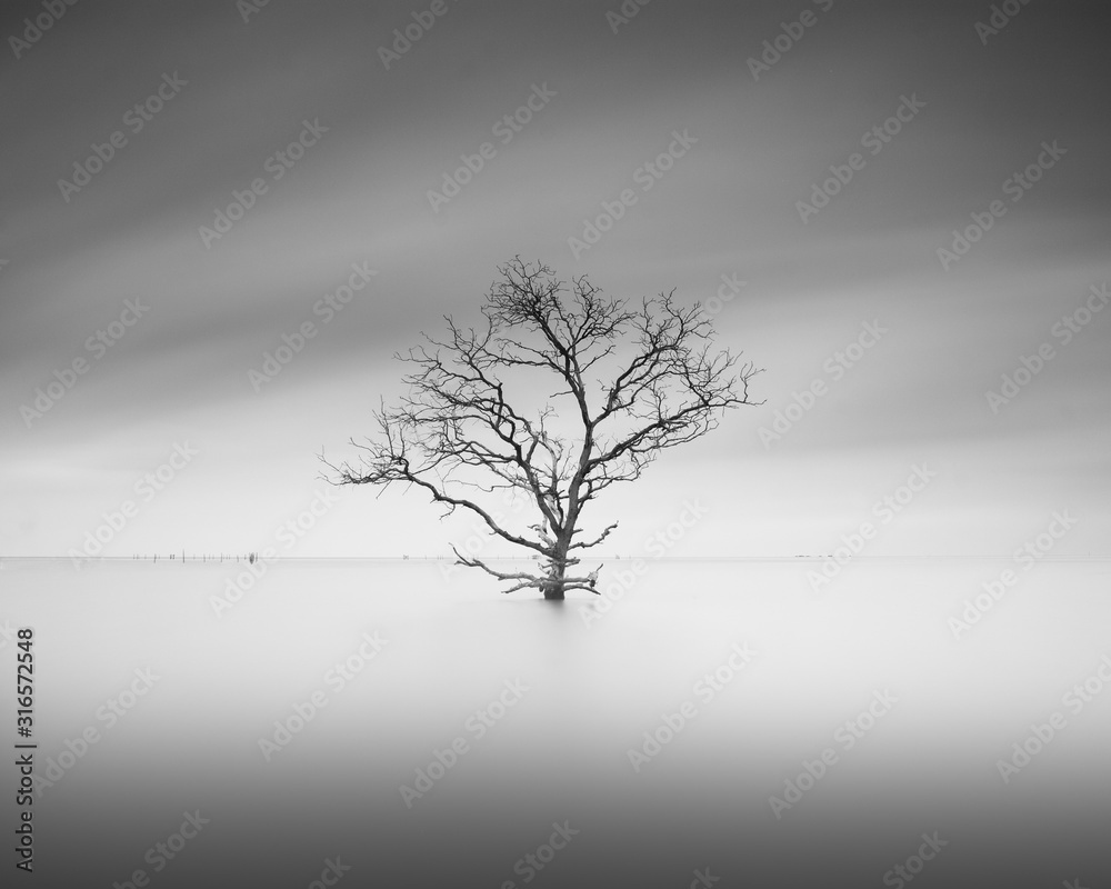 Самое одинокое животное в мире! Нет, это не волк. Что такое настоящее одиночество?