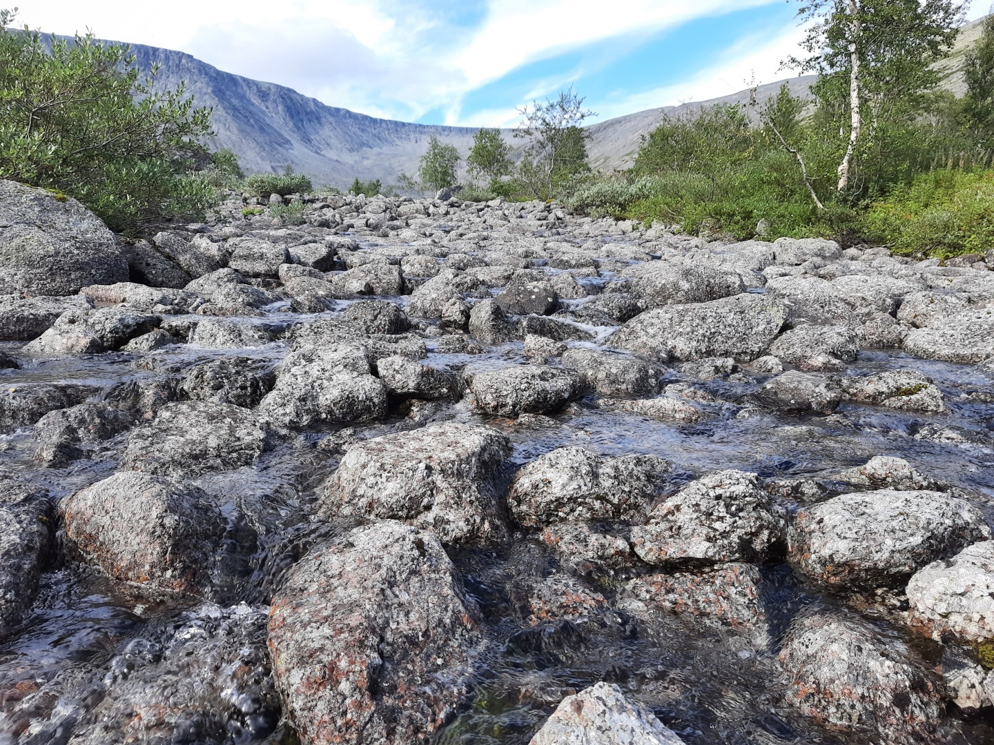 Месть усатых