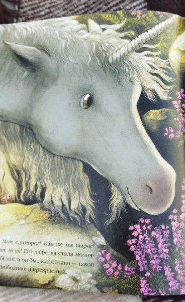 Время визуализации.