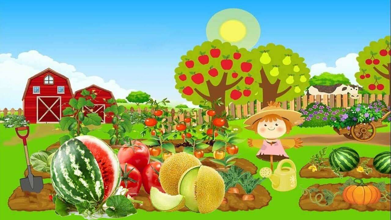 Сказочная история, которая случилась в одном приусадебном хозяйстве