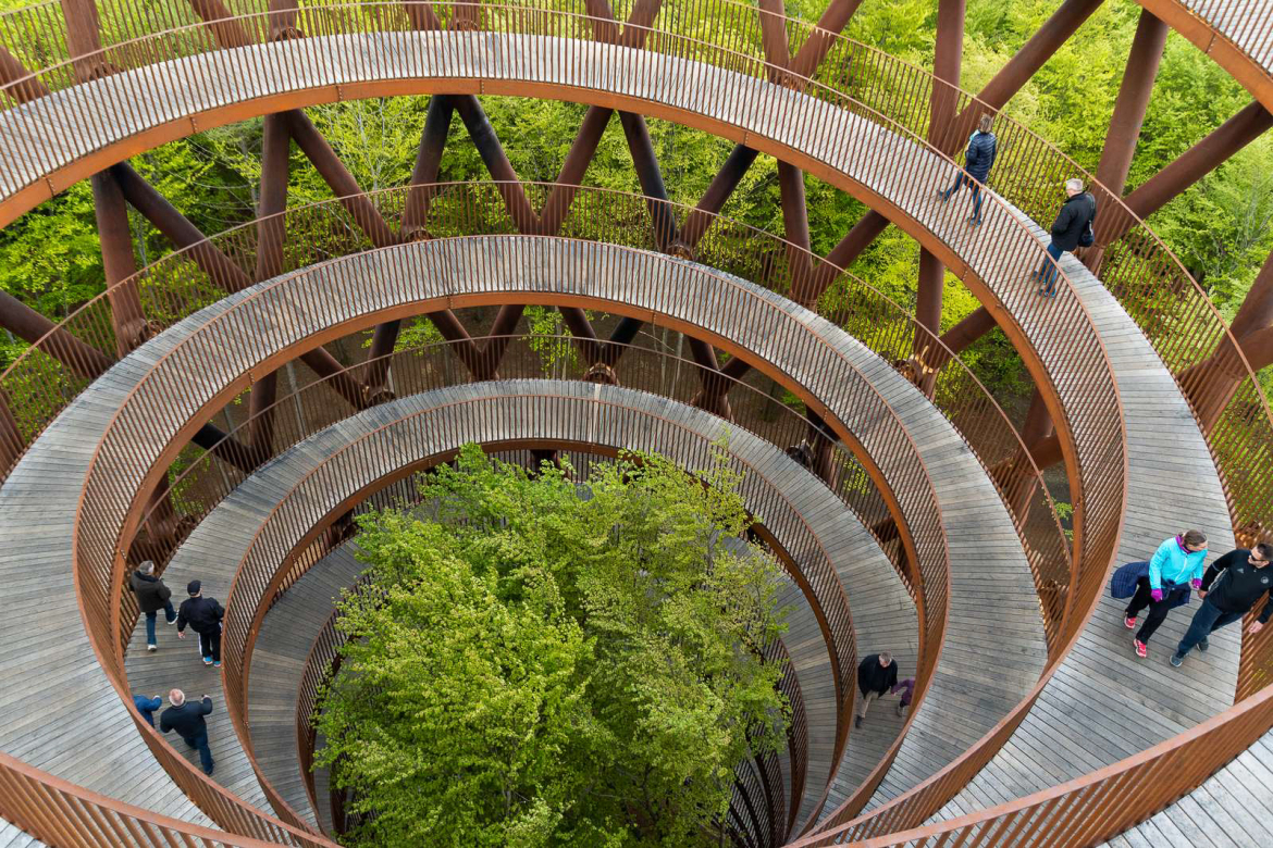 Красивая пешеходная тропа над деревьями.