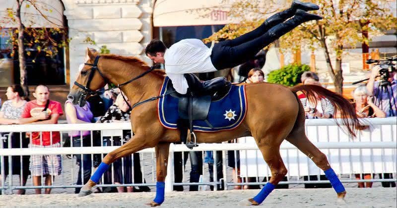 Различные виды конного спорта.Впечатляющие спортивные достижения лошадь и всадник.