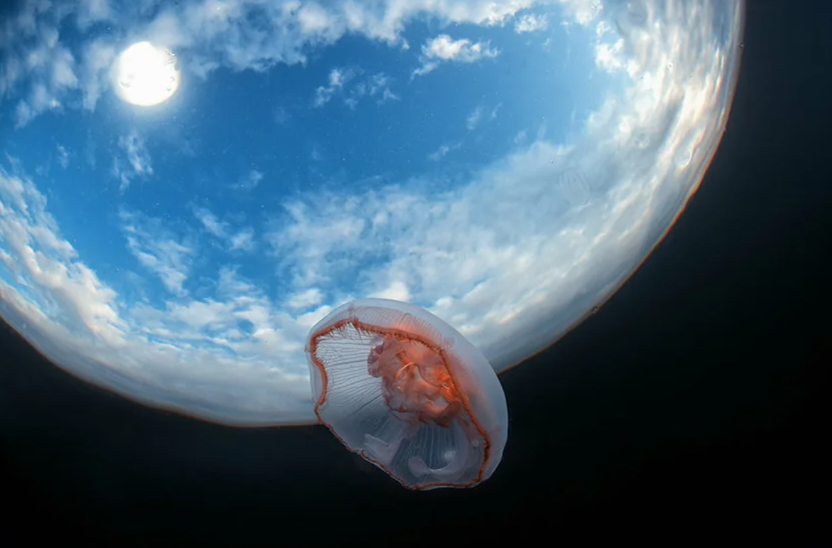 Умеете ли вы фотографировать?