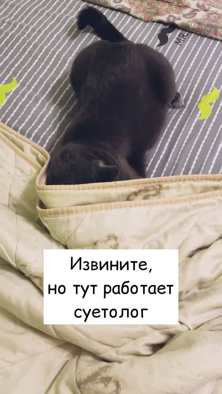 Суетолог на приоре