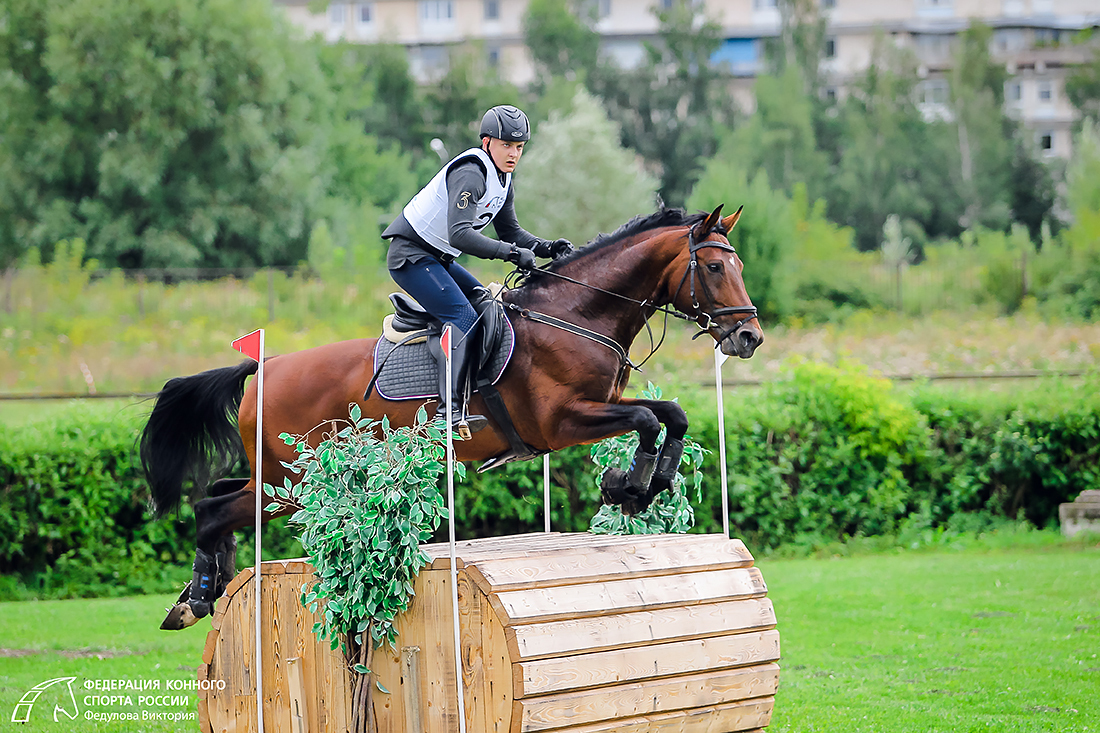 Различные виды конного спорта.Впечатляющие спортивные достижения лошадь и всадник.