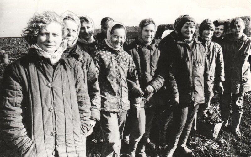 Романтика в добровольно-принудительном порядке: как в СССР ездили на картошку