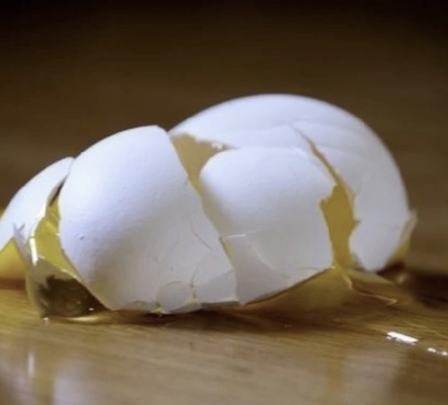 «Дикие» News нашей планеты.