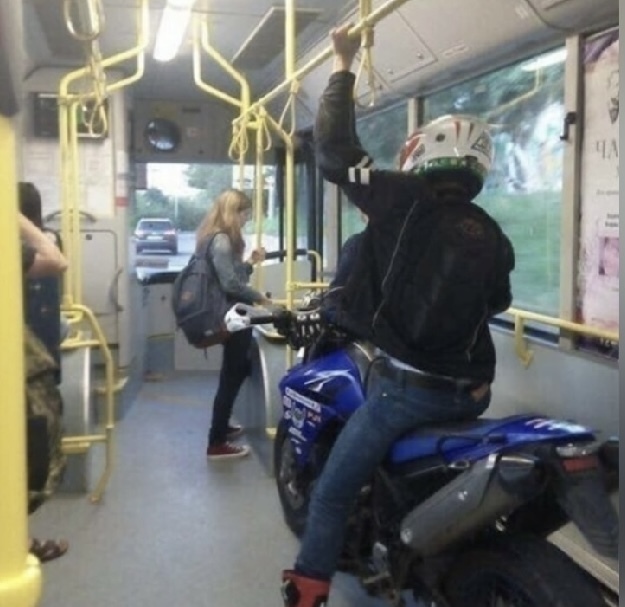 «Дикие» News нашей планеты.