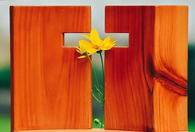 Есть ли жизнь на том свете?