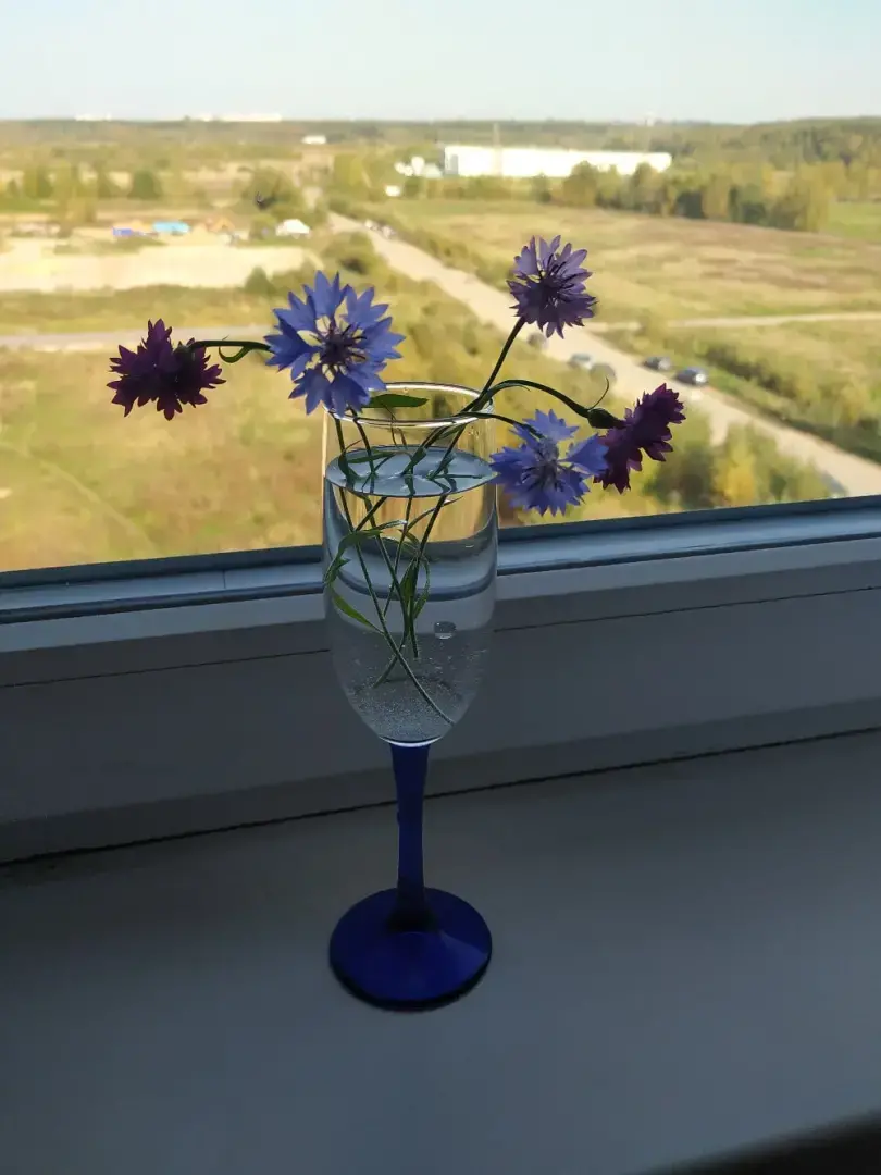 Обещания застройщика оказались обманом!