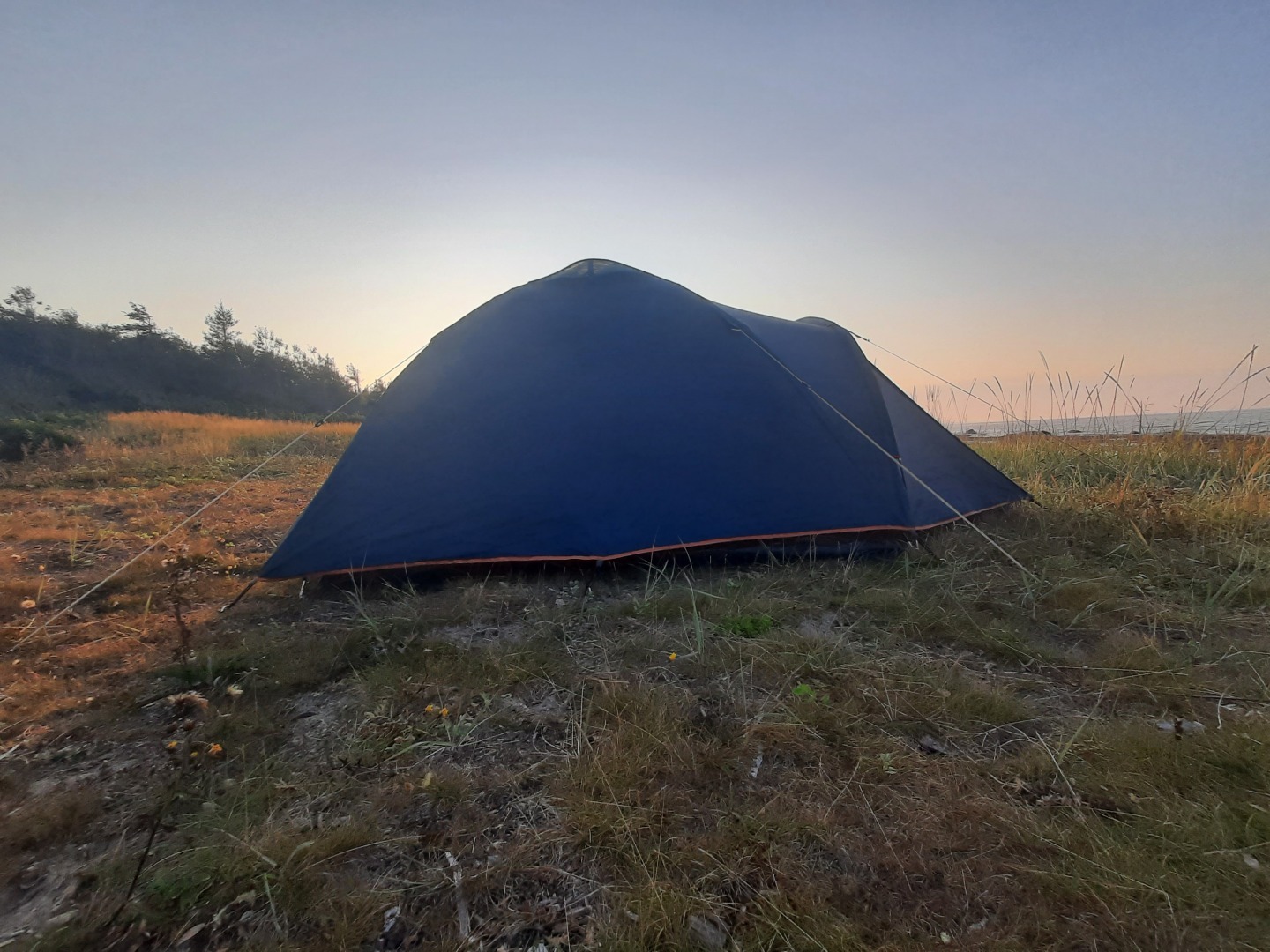 Никогда, никогда такого я не видел.