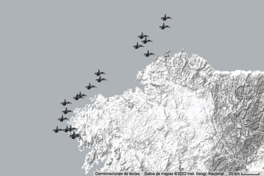 Косатки нападают на лодки у берегов Португалии: что происходит?