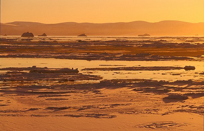 Заплыв из Канады в Гренландию не удался.