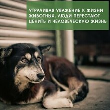 Корнеева Наталья, г. Ангарск