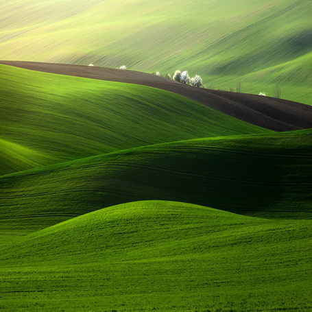 Почему могут отказать в оформлении земельного участка