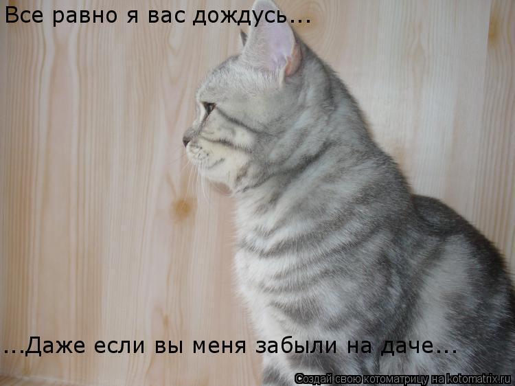 Ежегодная публикация в конце лета " Вы никого не " забыли" на даче?"