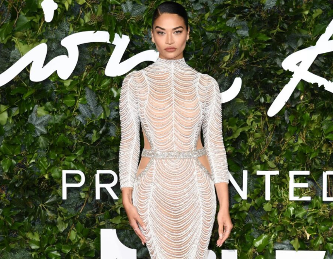 Шанина Шейк — горячая австралийская модель, которая начала свою модельную карьеру в 8 лет