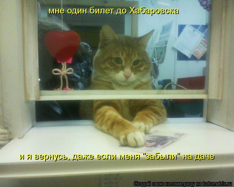 Ежегодная публикация в конце лета " Вы никого не " забыли" на даче?"