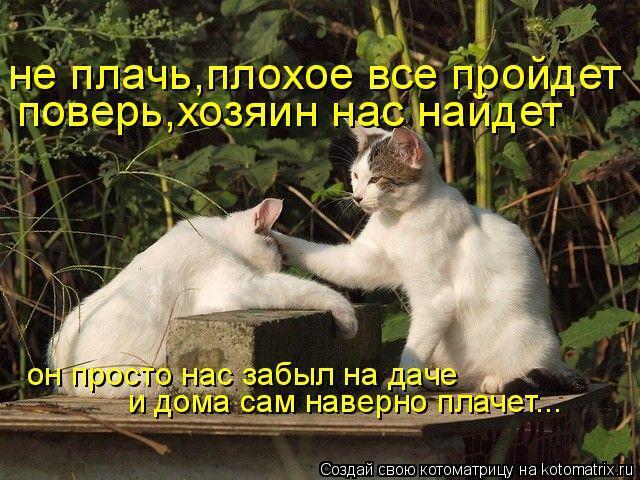 Ежегодная публикация в конце лета " Вы никого не " забыли" на даче?"
