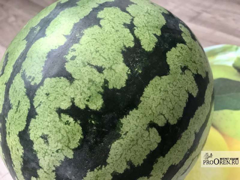 Августовские традиции нашего города.