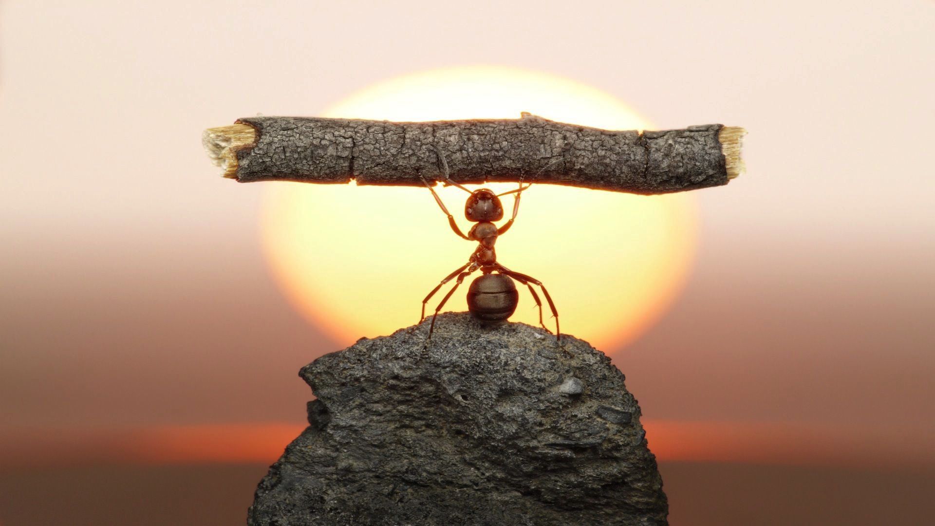 Как повысить свою самооценку и уверенность в себе. Несколько простых , но действенных способов!