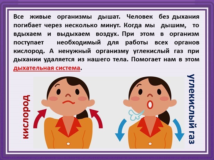 Дыхание как синоним жизни