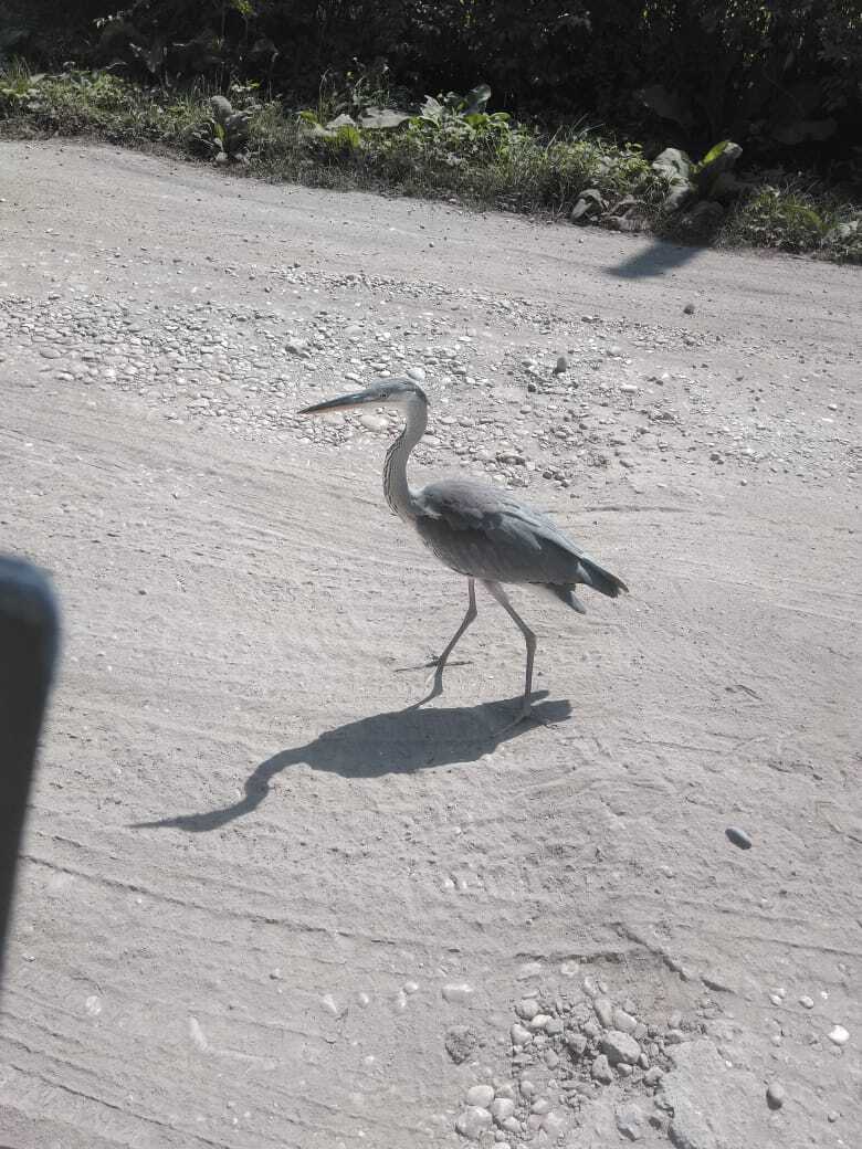 Как я провел или провела лето .